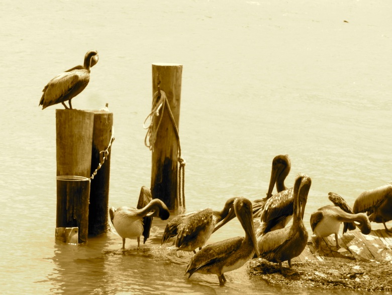 Loading Image